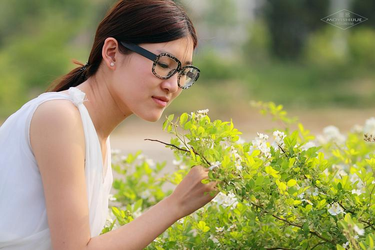 下载安装流程图